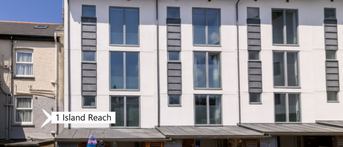 Gemini_Generated_Image_3f0nll3f0nll3f0n